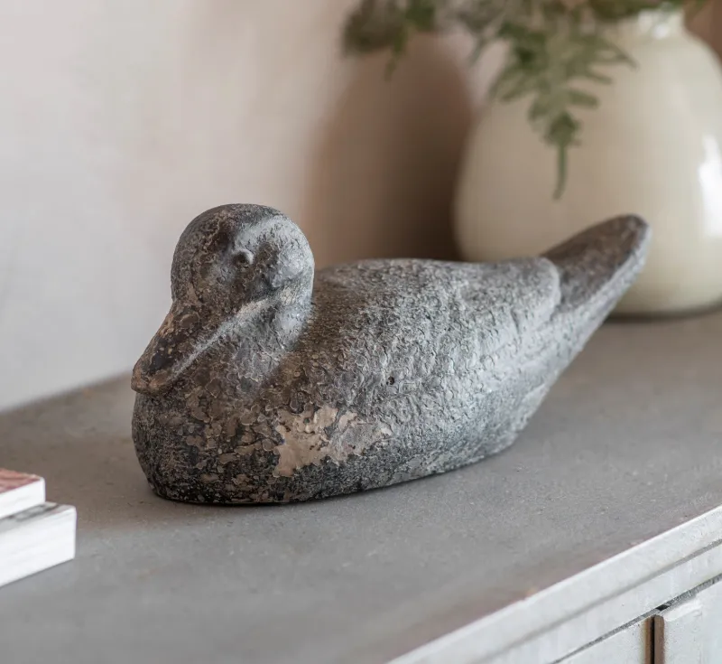 Distressed Black Duck