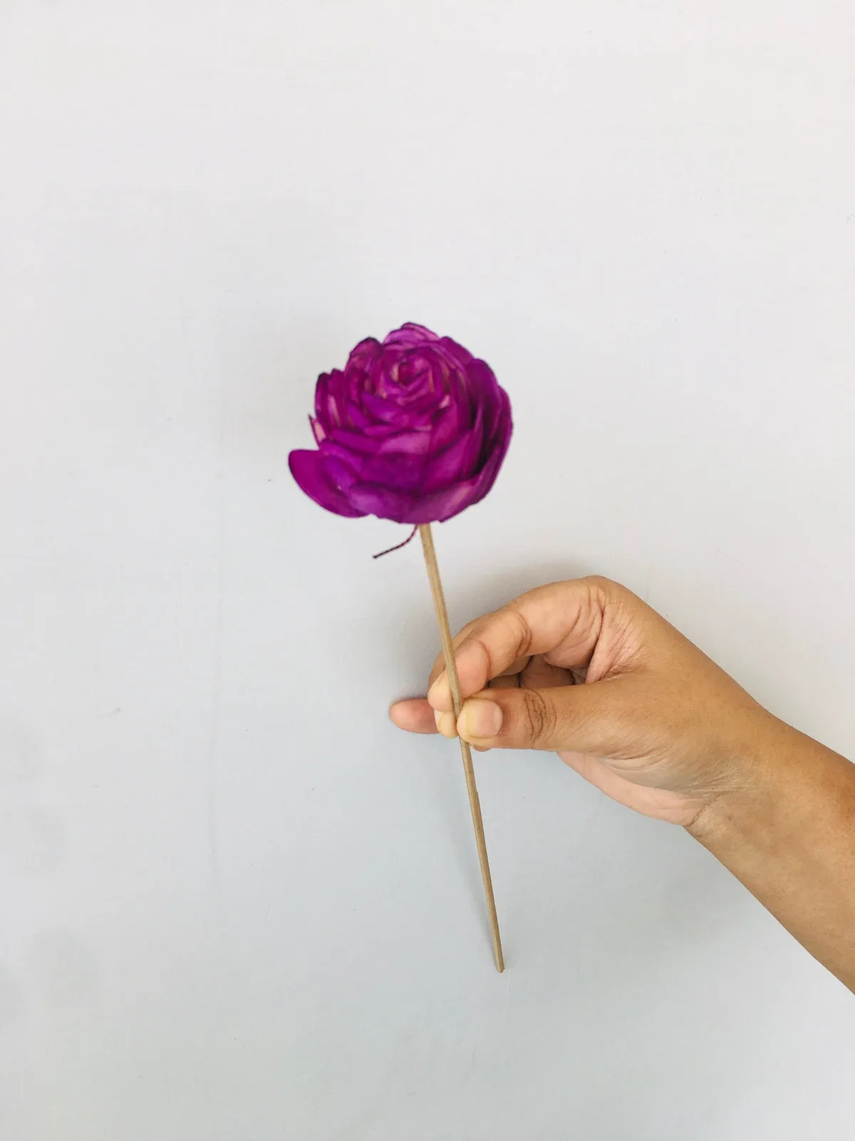 Ombre Sola Flower | 5pcs