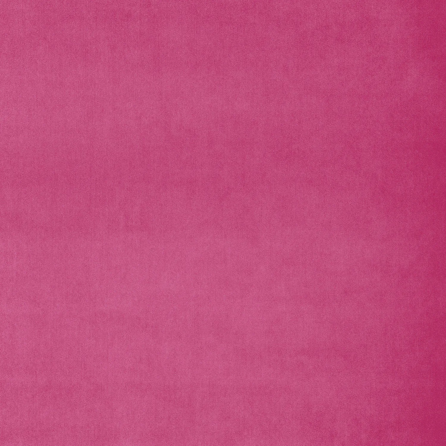 Omega Pink
